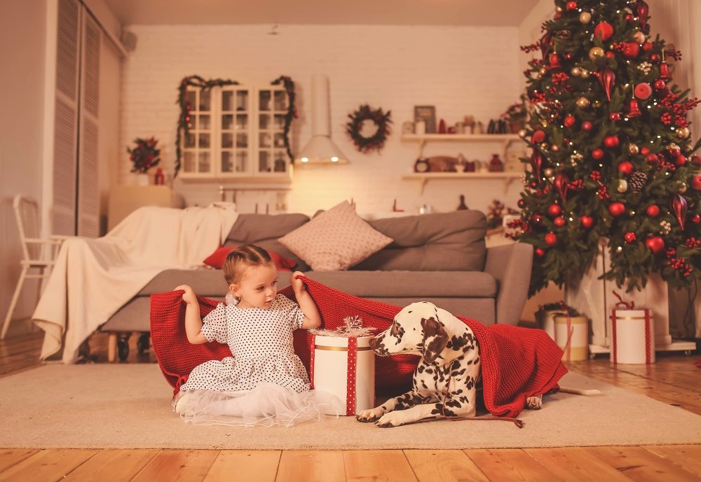 Photograph by Ирина Белоусова (Рябых)