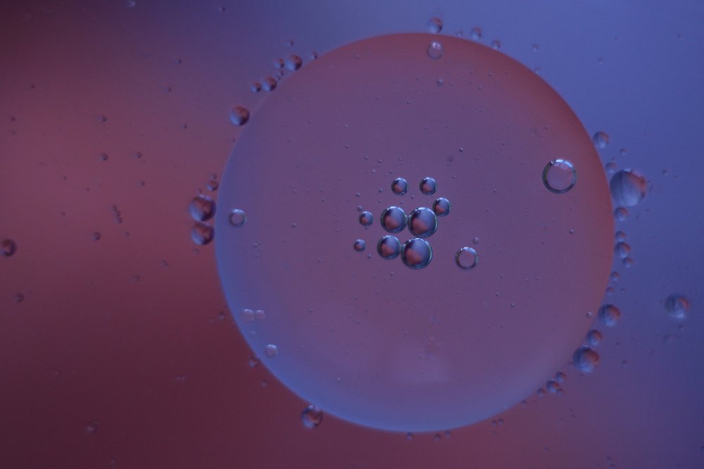 Фотография автора Анна Кравченко