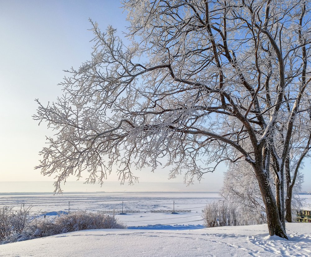 Photograph by Ольга Ситникова