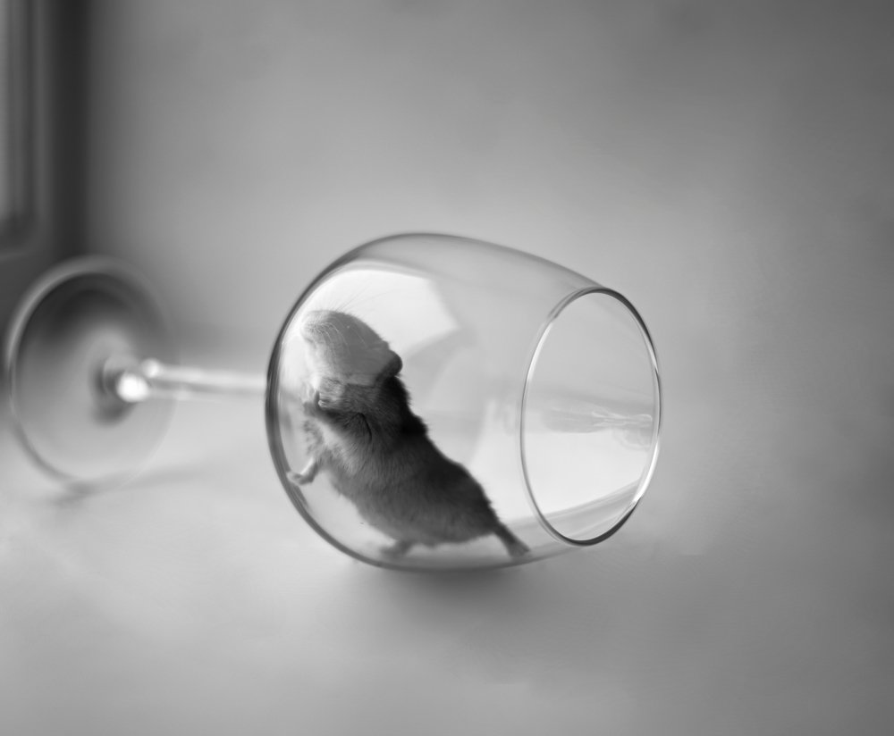 Photograph by Вероника Сафонова