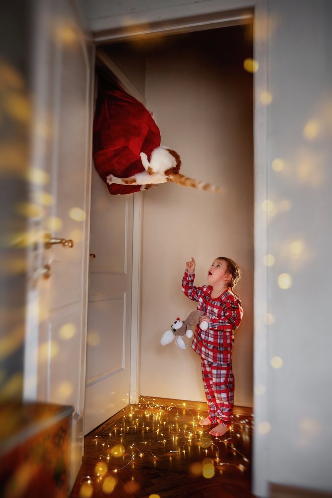 Photograph by Юлия Павалюк