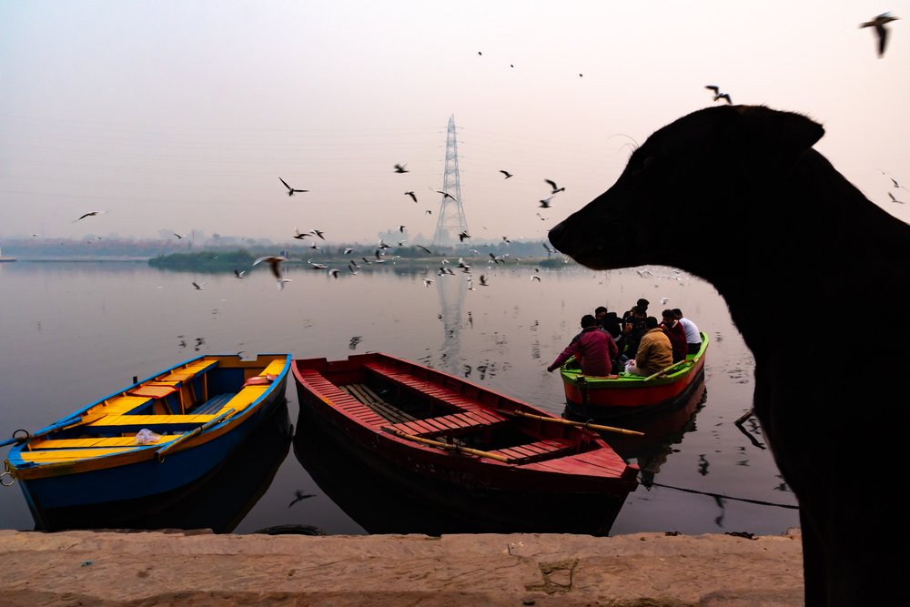 Photograph by Chetan Verma