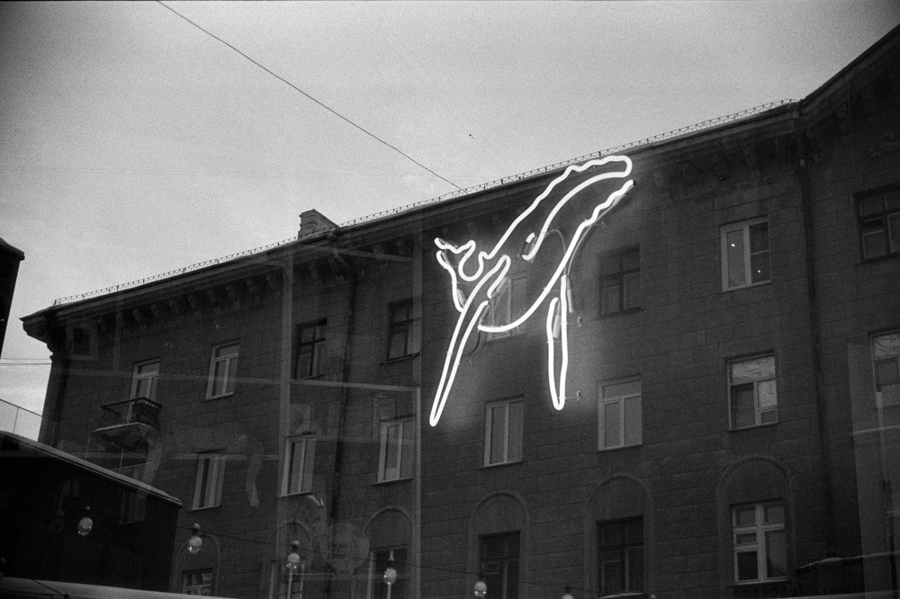 double whale exposure