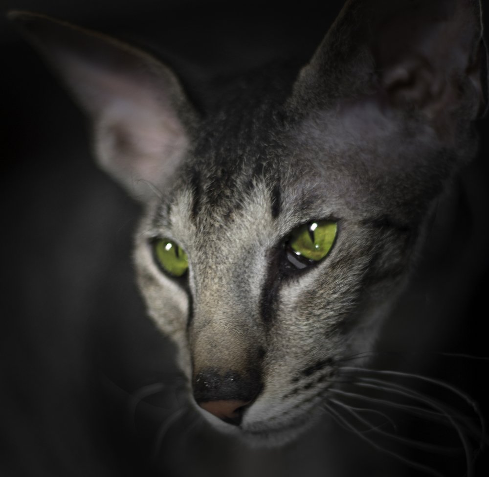 Photograph by Viktoria Alaküla