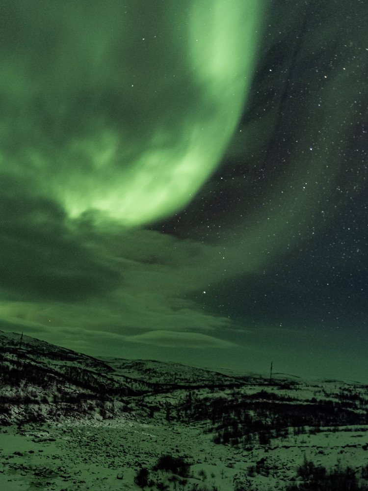 Робкая Аврора