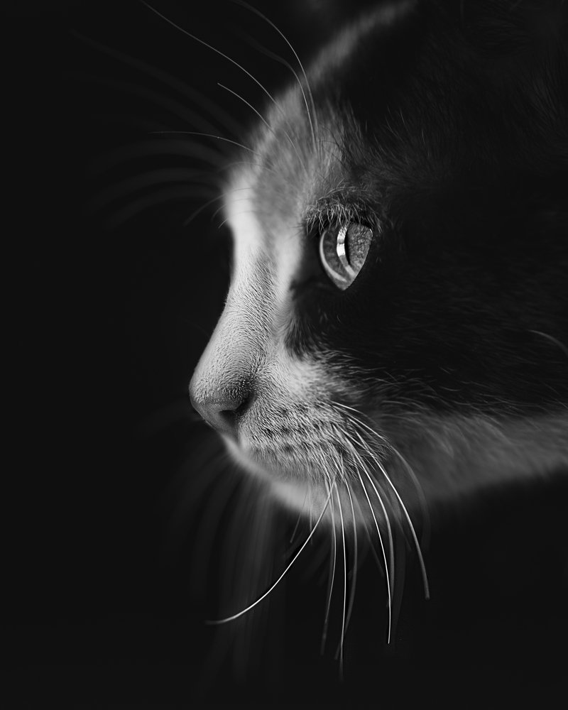 Photograph by Ana Gregorio