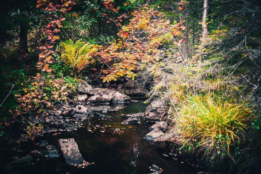 Photograph by Мария