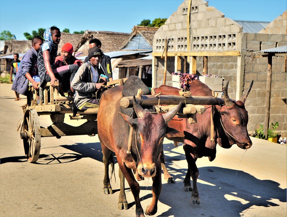 Photograph by Aleksandr Zaitsev