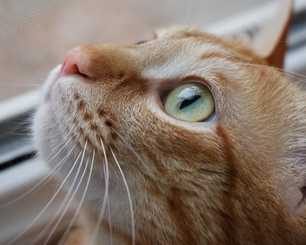 Photograph by Nargiza Karimova