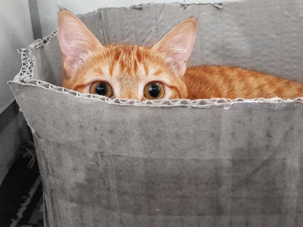 Photograph by Nargiza Karimova