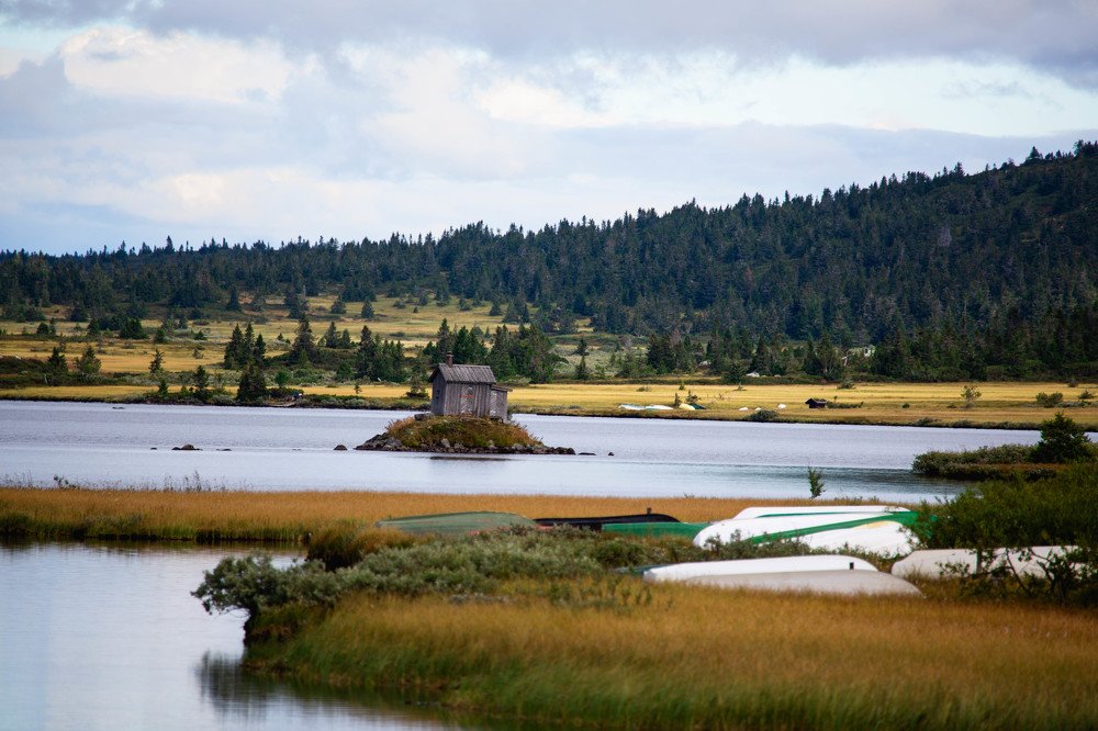 Photograph by Мария