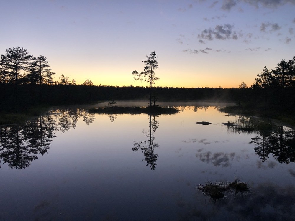 Photograph by Andres Papp