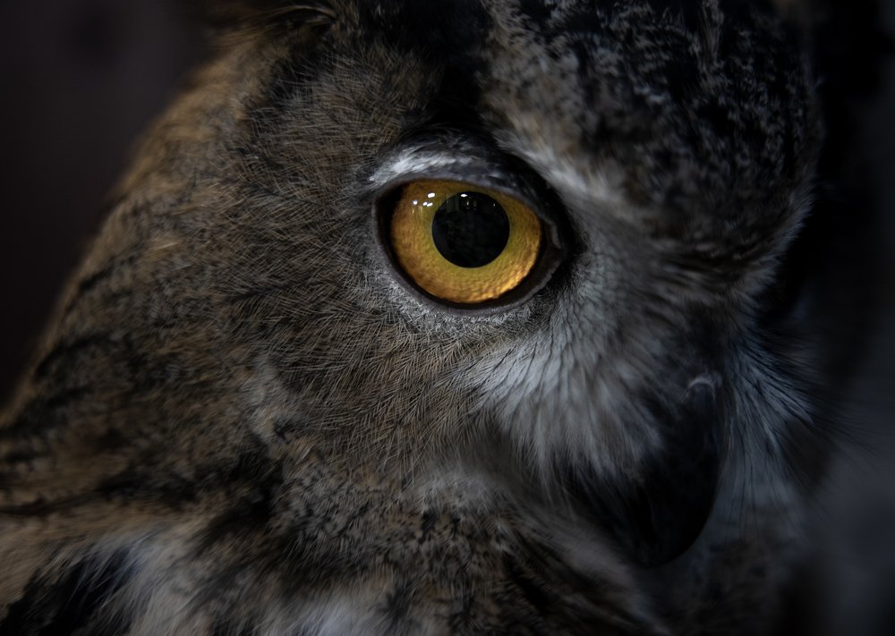 Photograph by Екатерина Кицмен