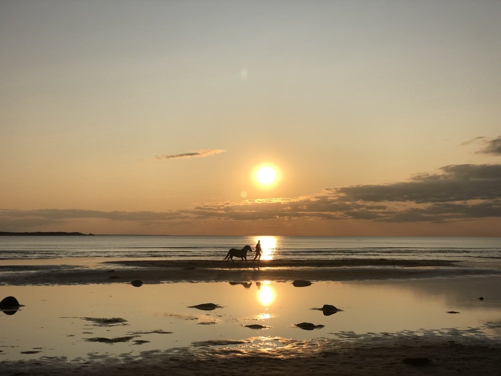 Photograph by Andres Papp