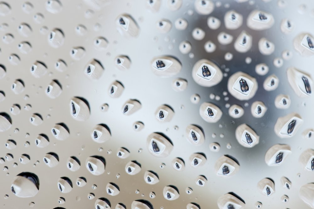 Photograph by Irina Grigoryeva