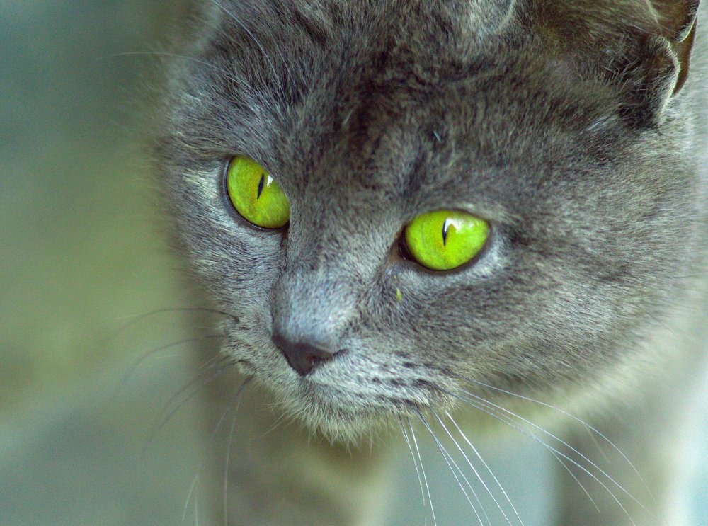 Photograph by Константин Бокарев