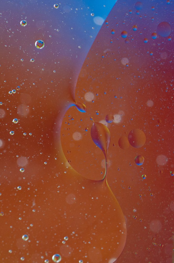 Photograph by Chamara Sulakkhana Polwatta Siriyalage