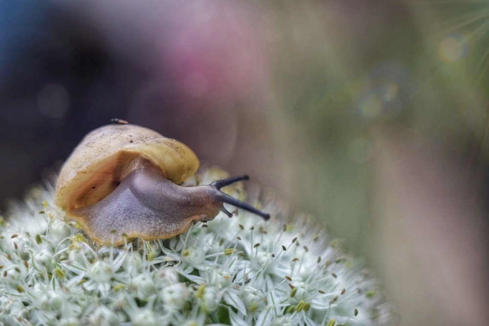 Photograph by Ирина Курицына