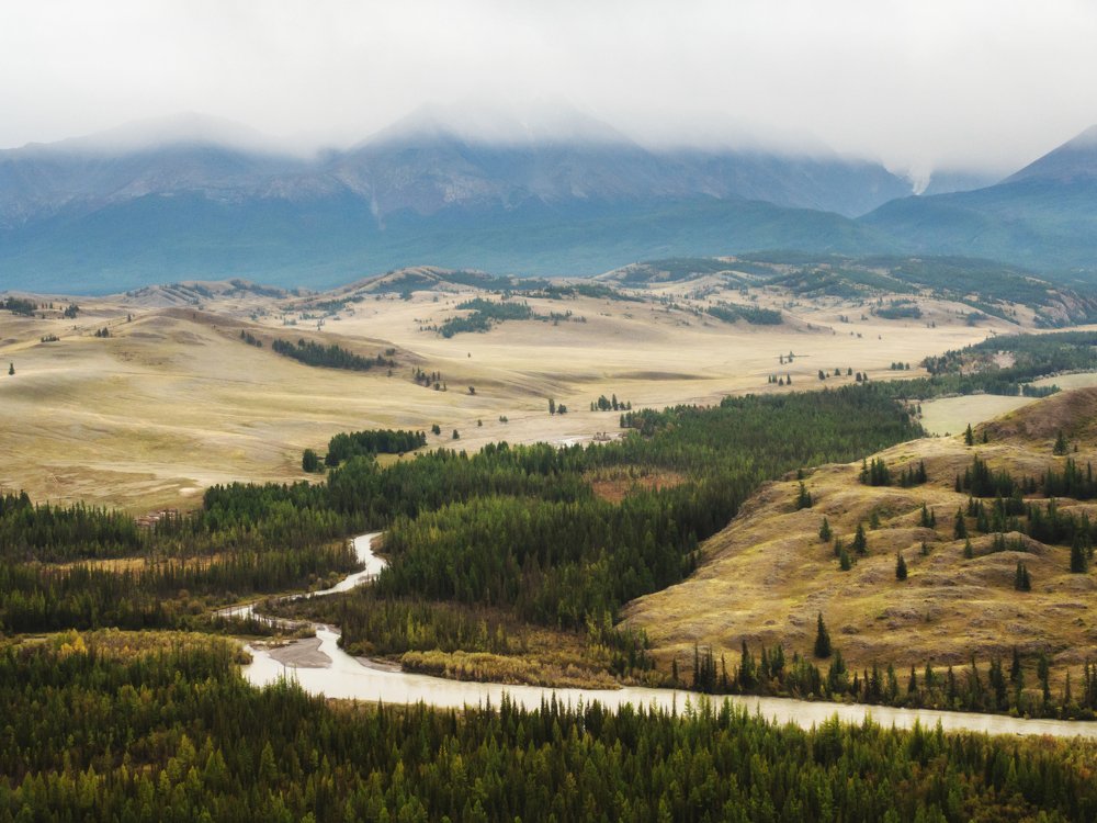 Photograph by Ольга Беккер