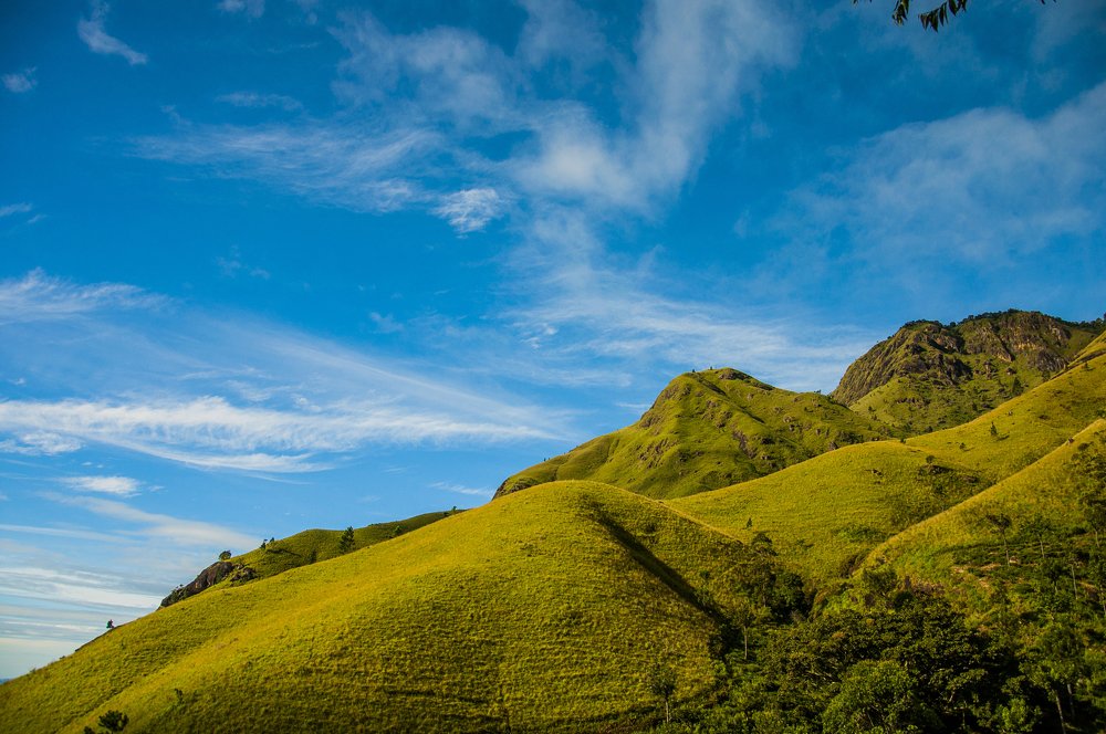 Photograph by Chamara Sulakkhana Polwatta Siriyalage