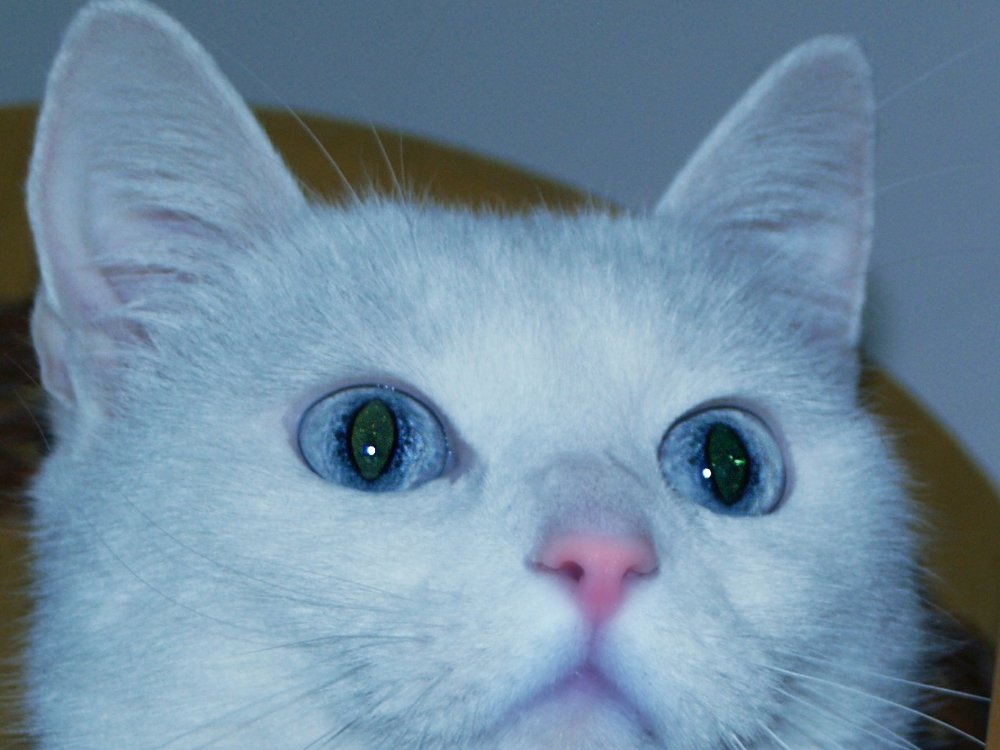 Photograph by Csótai Katalin