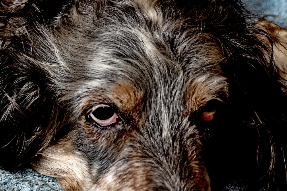 Photograph by Csótai Katalin