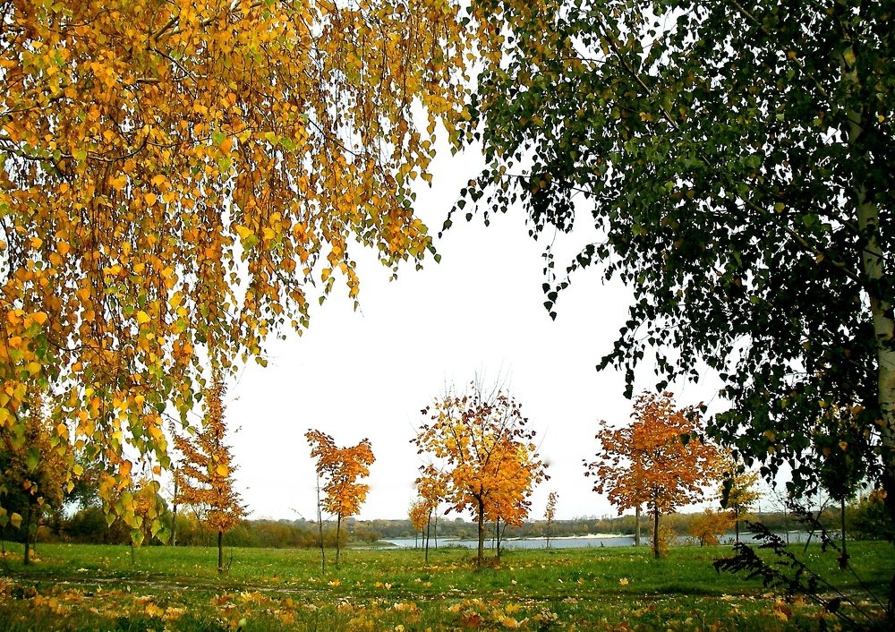 Photograph by Петр Калинкин