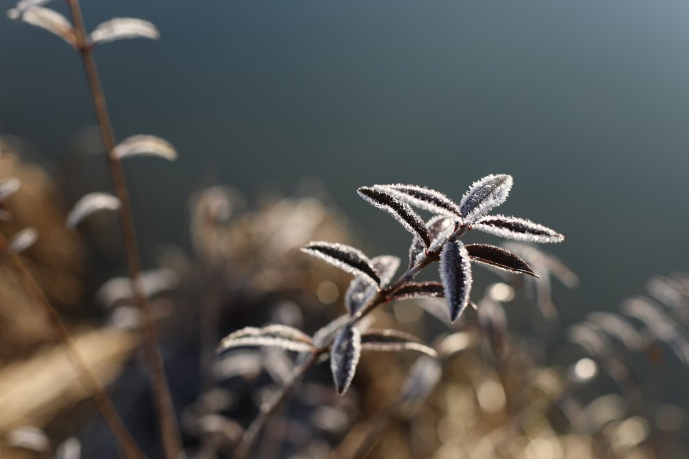 Photograph by Екатерина Шефер