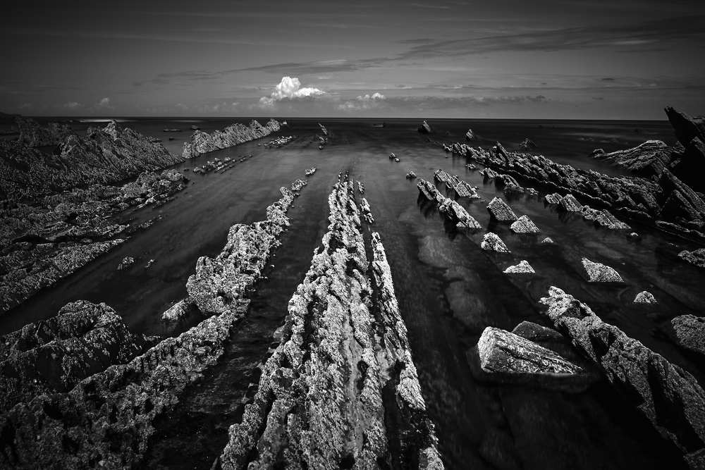 Photograph by Remigijus Tverijonas