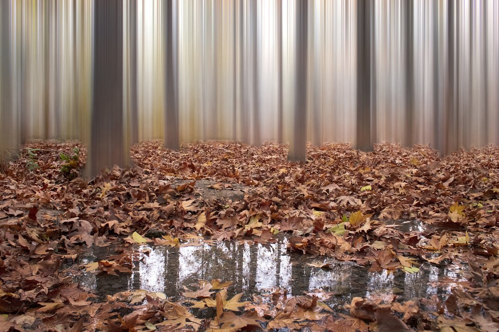 Photograph by safoura asghari