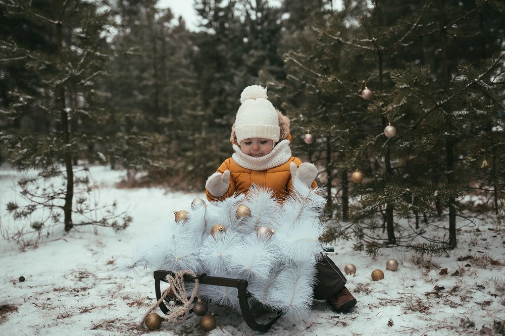 Фотография автора Софья Сергина