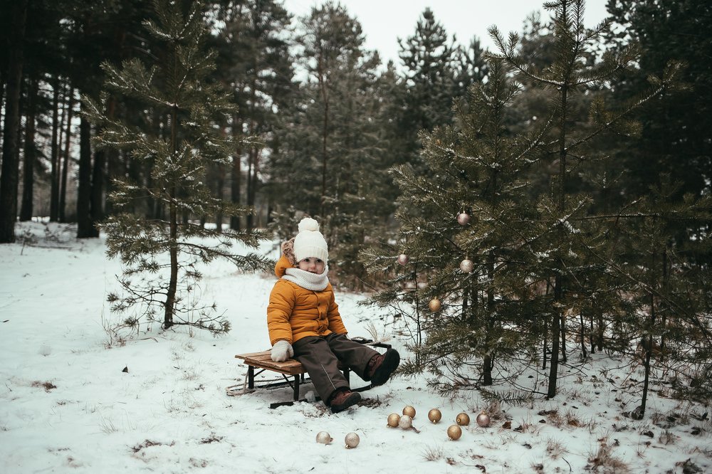 Фотография автора Софья Сергина
