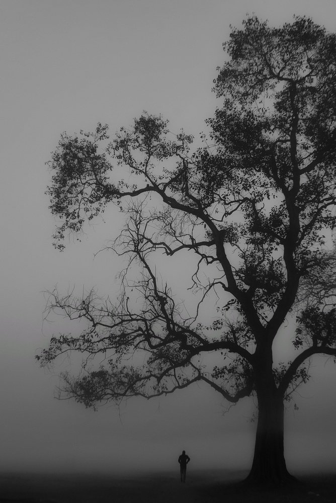 Photograph by Rakeshkumar Rakeshkumar mandal