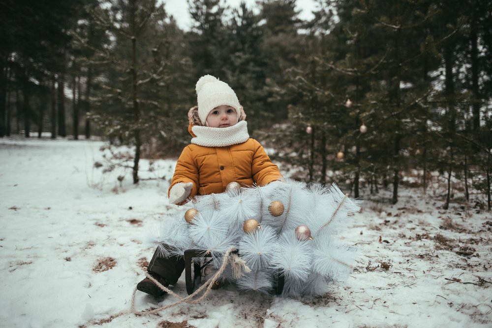 Фотография автора Софья Сергина