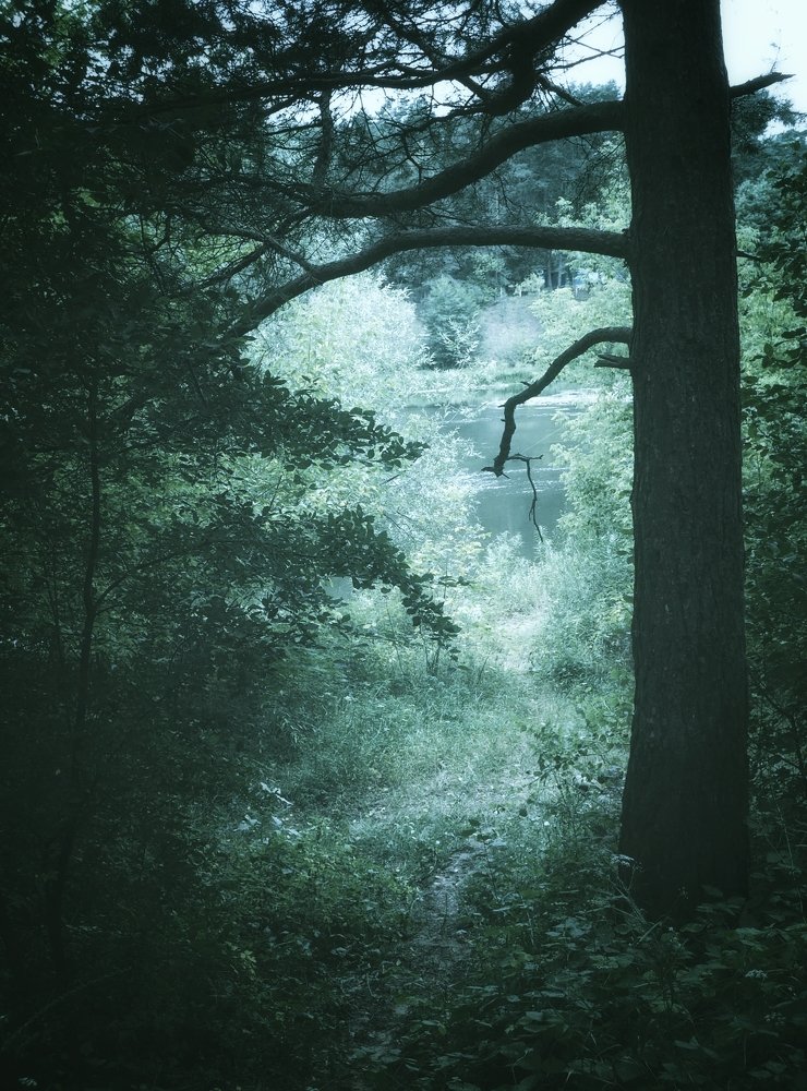 Photograph by Елена Ржевская