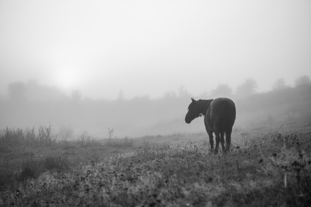 Photograph by Сергей Климов