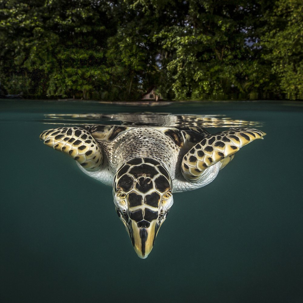 Photograph by Paula Vianna