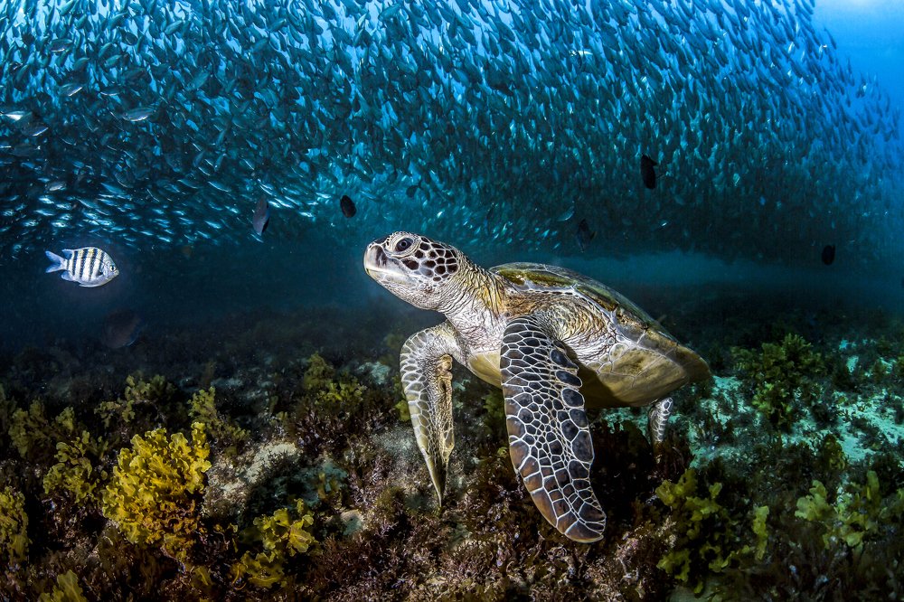 Photograph by Paula Vianna