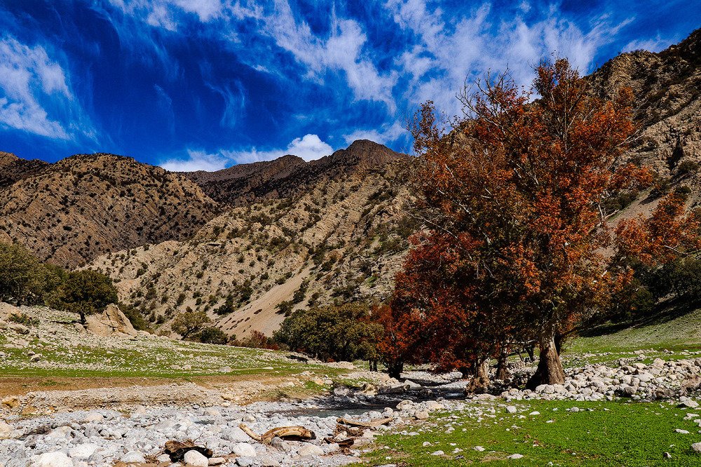 Photograph by Parisa Cheraghi