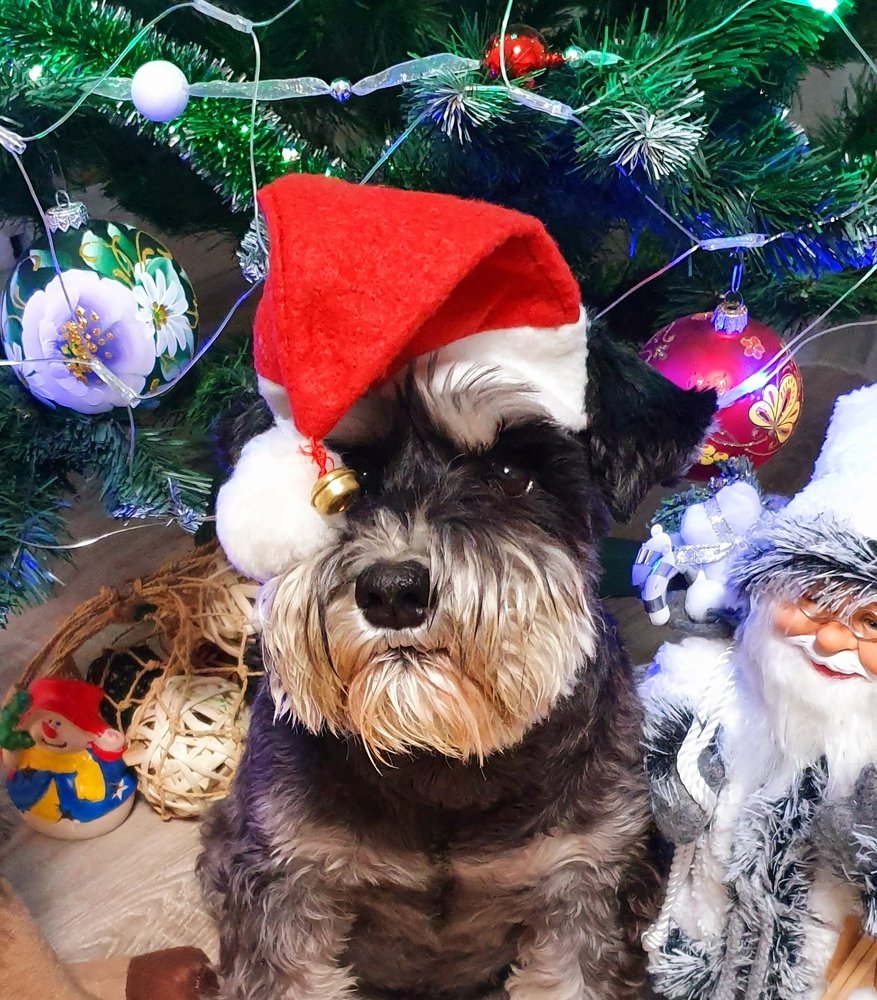 Photograph by Олег Черноокий