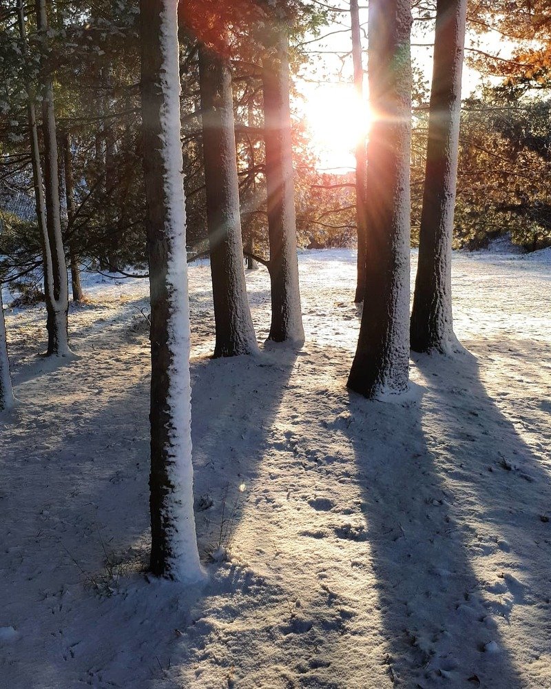 Photograph by Ирина Калюжная