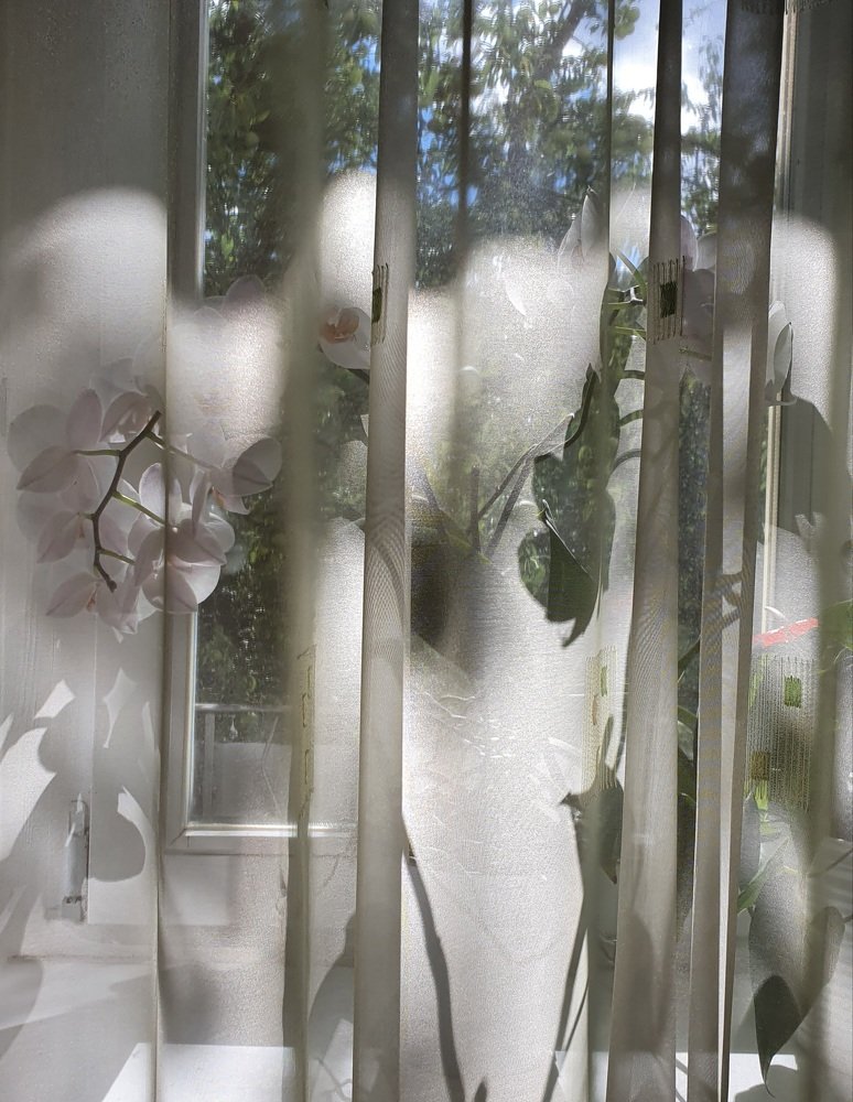 Летний день