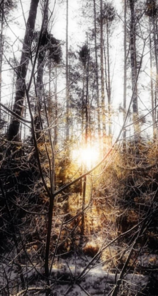 #Мороз и солнце... #