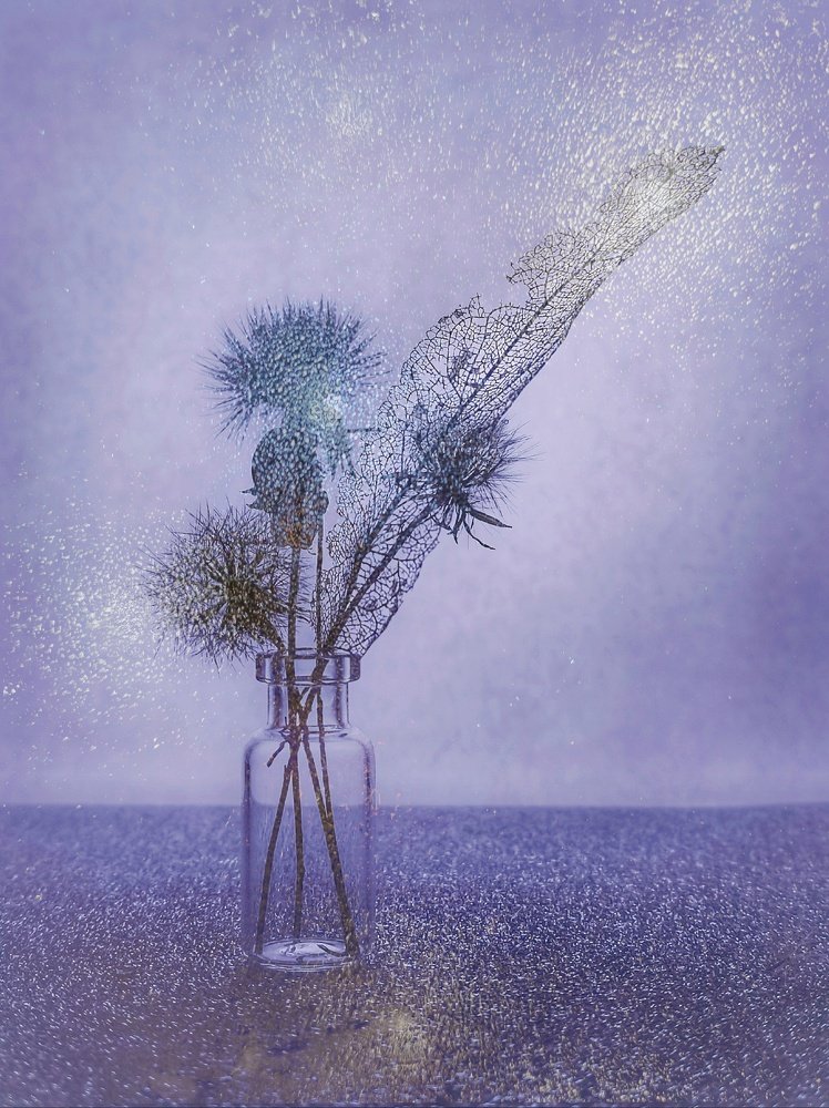 Photograph by Алеся Писнова