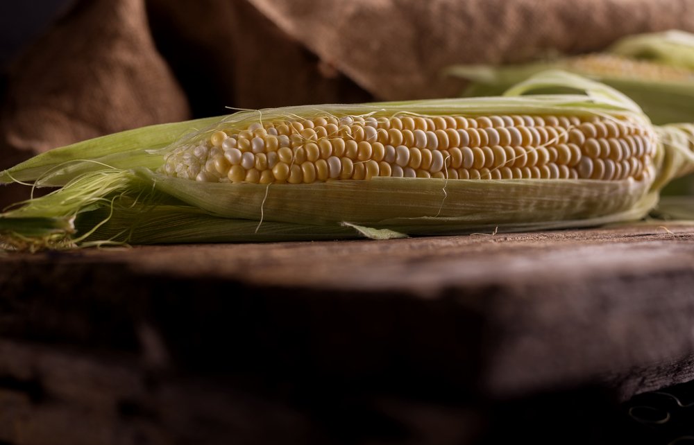 Photograph by Анна Айбетова