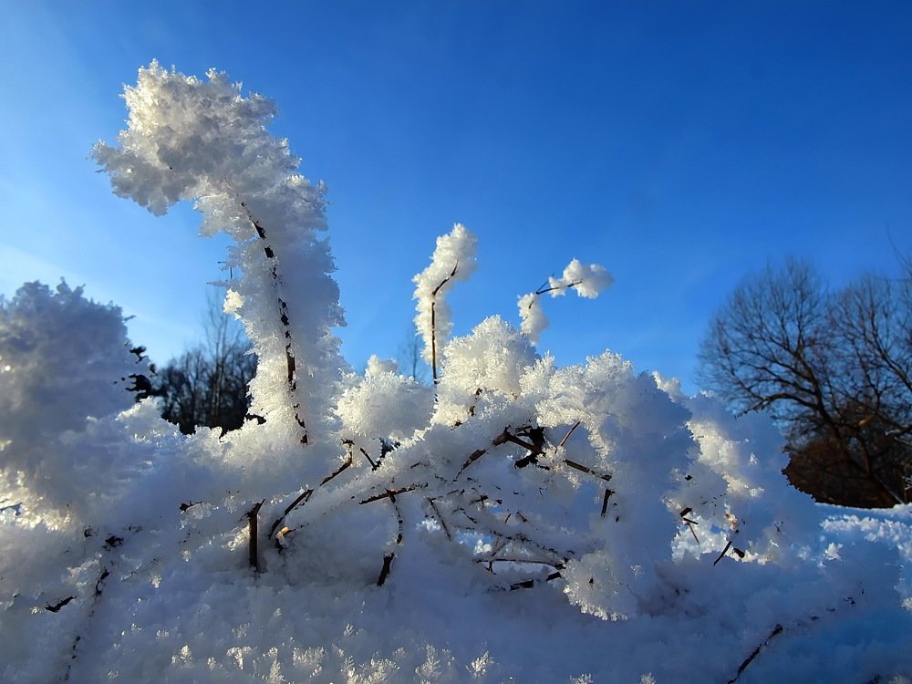 Photograph by Игорь Чеботарёв