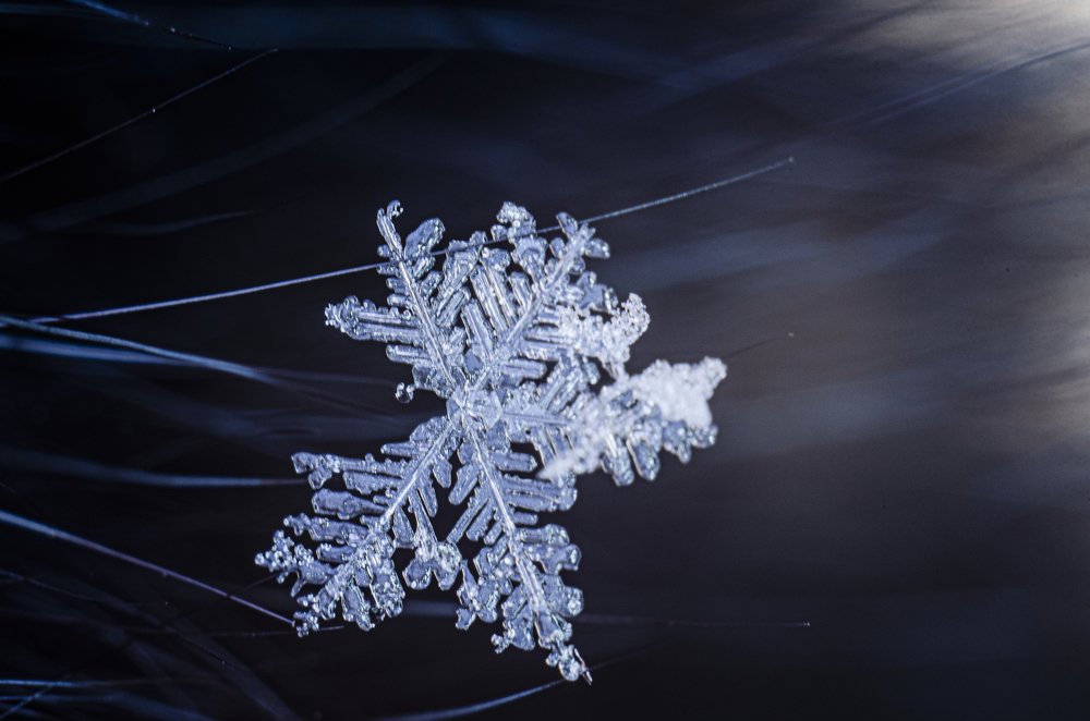 Photograph by Евгений Чумаков