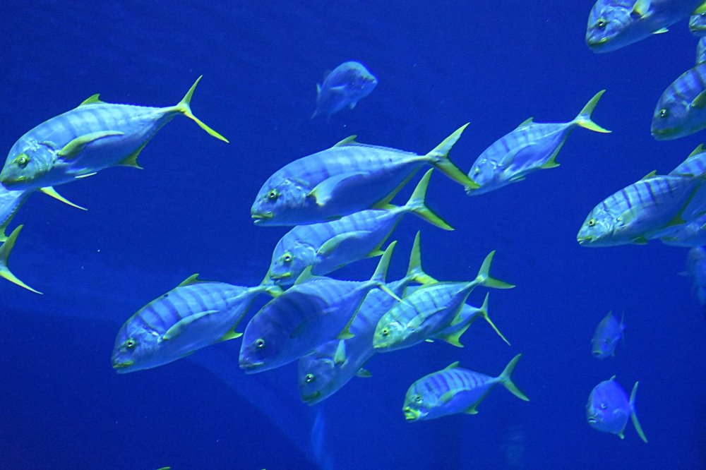 Photograph by Светлана Титова