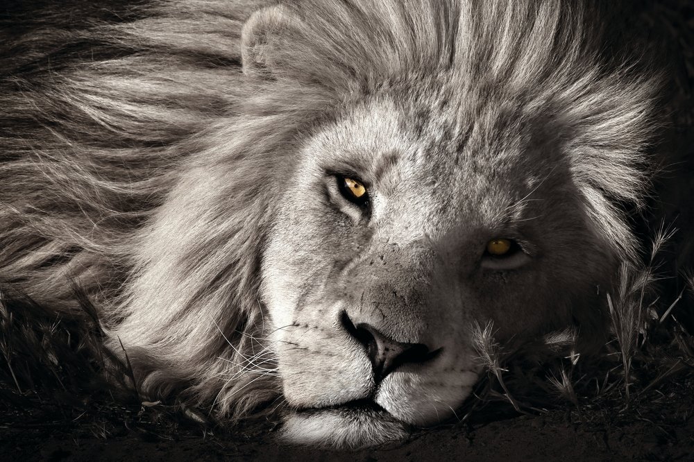 Photograph by Jytte Ferreira