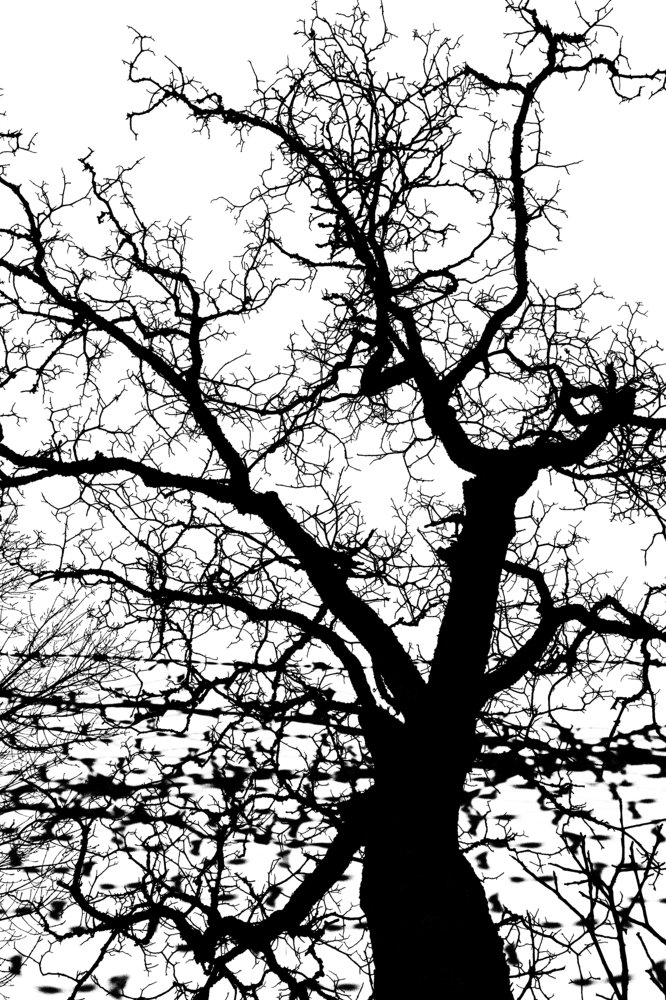 Photograph by Mauro Case